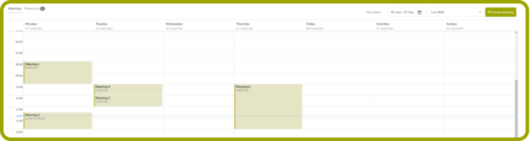 Calendar view with meetings